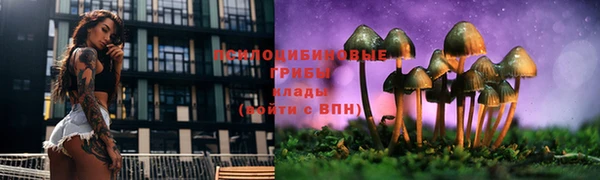 круглые Бронницы