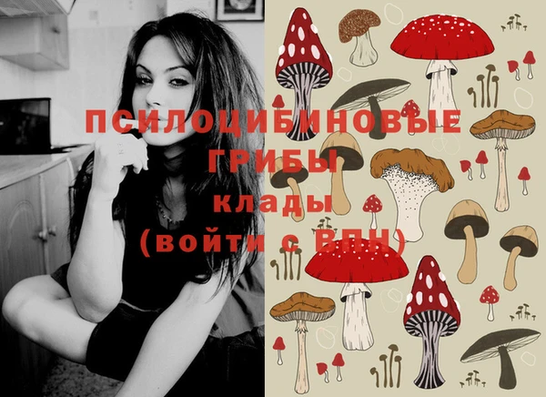 соль курить ск Бородино